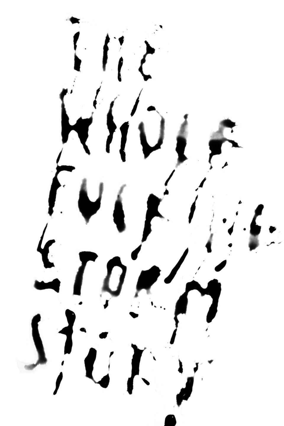 The whole fucking storm story